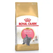 hinh san pham royal canin british shorthair kitten