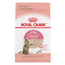 hinh san pham royal canin kitten spayed neutered dry cat food